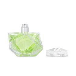 BRITNEY SPEARS BELIEVE 100ML EDP